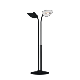 Lampadaire Chauffant à 2 Têtes - HOTDOOR Noir - PHORMALAB