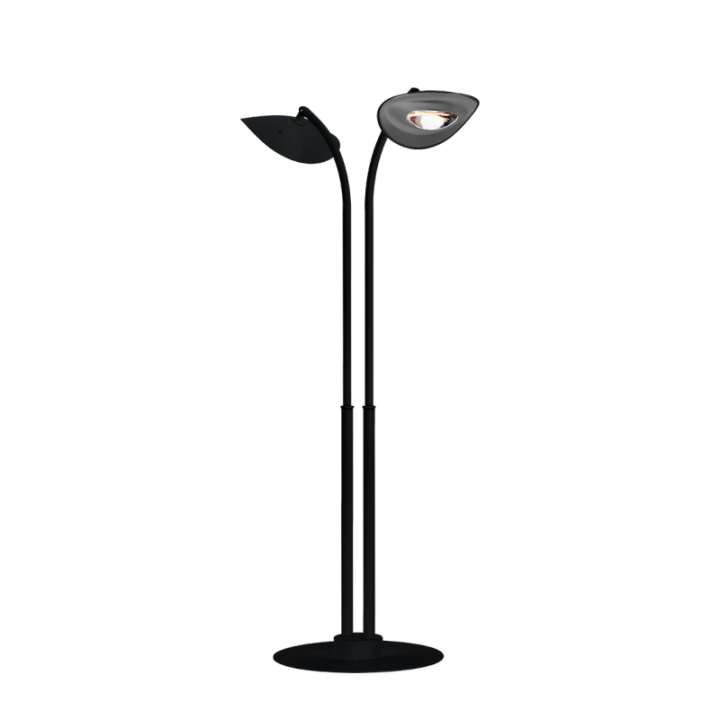 Lampadaire Chauffant à 2 Têtes - HOTDOOR Noir - PHORMALAB