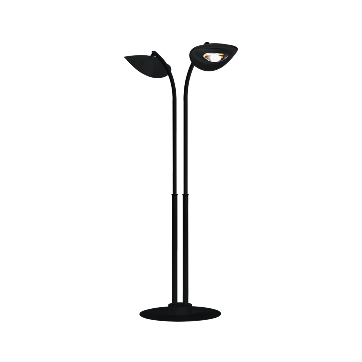 Lampadaire Chauffant à 2 Têtes - HOTDOOR Noir - PHORMALAB
