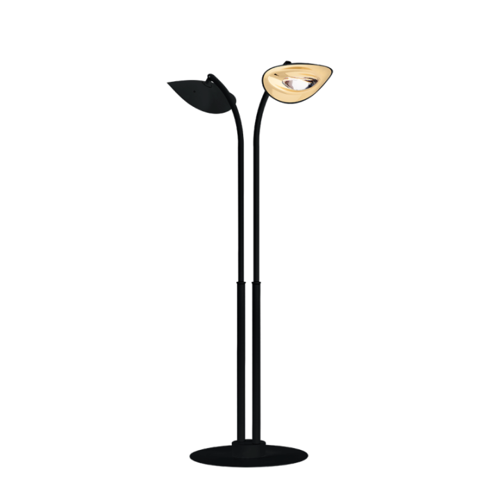 Lampadaire Chauffant à 2 Têtes - HOTDOOR Noir - PHORMALAB