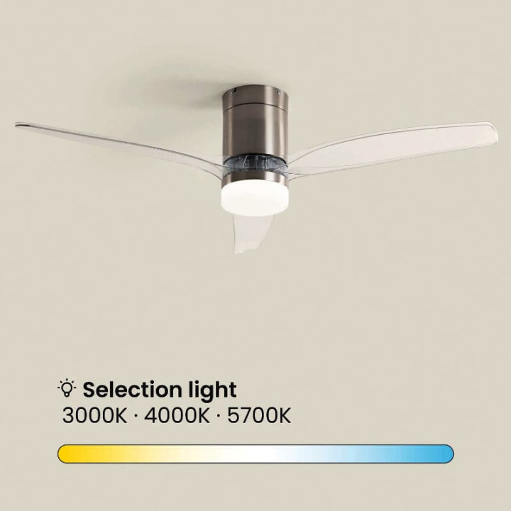 Ventilateur de Plafond Moderne Nickel avec Pales Transparente Éclairage et Moteur Silencieux