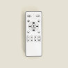 Ventilateur de Plafond Moderne Nickel avec Pales Transparente Éclairage et Moteur Silencieux