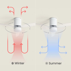 Ventilateur de Plafond Moderne Blanc avec Pales Transparente Éclairage et Moteur Silencieux