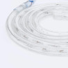 Guirlande LED RGB 220V IP65